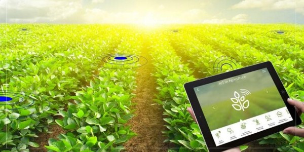 智慧农业环境监控系统